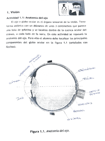 cuaderno-de-fisiologia.pdf