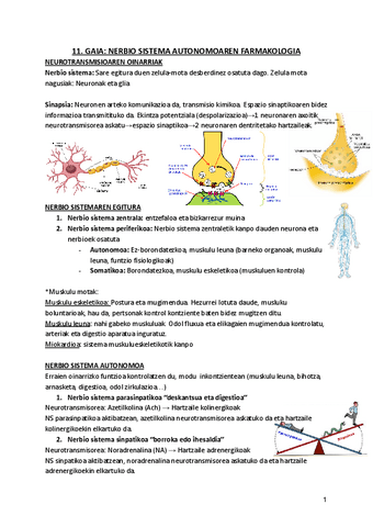 11.-NERBIO-SISTEMA-AUTONOMOAREN-FARMAKOLOGIA.pdf