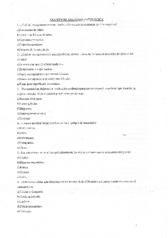 1-Respuestas.pdf