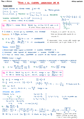 TEMA-1.-SERIES-Y-SUCESIONES.pdf