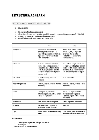 Bio: ADN i ARN, replicació, transcripció i traducció.pdf