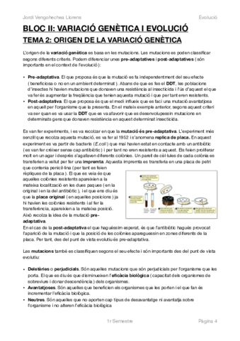 EVOLUCIÓ BLOC II.pdf