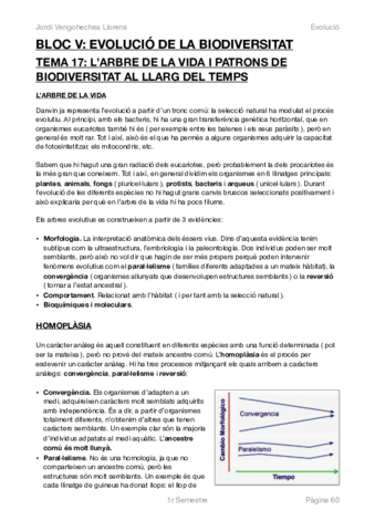 EVOLUCIÓ BLOC V.pdf