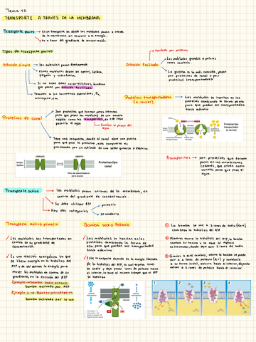 Transporte-a-traves-de-la-membrana.pdf