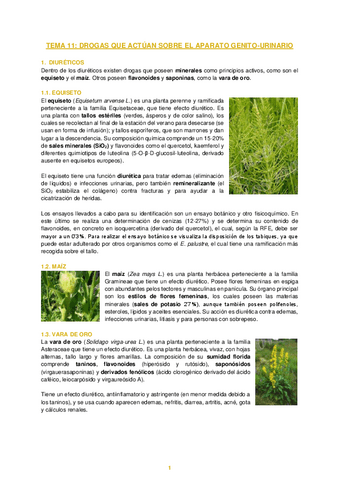 Apuntes-Tema-11-Farmacognosia.pdf