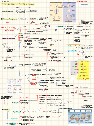 Division-celular-Mitosis-y-Meiosis.pdf