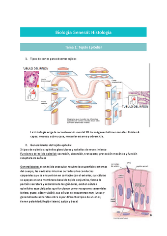 Bloque-Histologia.pdf