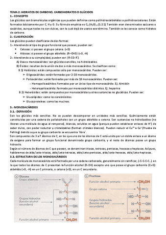 TEMA-2-GLUCIDOS-resumen.pdf