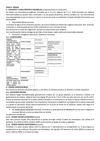TEMA-3-LIPIDOS-resumen.pdf
