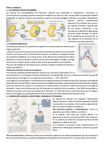 TEMA-5-ENZIMAS-resumen.pdf