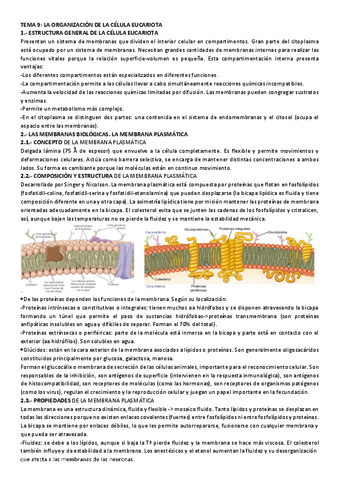 TEMA-9-ORGANIZACION-DE-LA-CELULA-EUCARIOTA-resumen.pdf