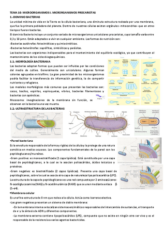 TEMA-10-MICROORGANISMOS-I-resumen.pdf