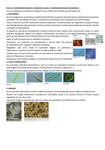 TEMA-11-MICROORGANISMOS-II-resumen.pdf