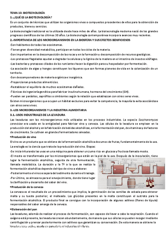 TEMA-13-BIOTECNOLOGIA-resumen.pdf