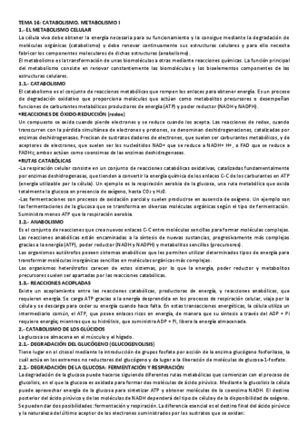 TEMA-16-CATABOLISMO.-METABOLISMO-I-resumen.pdf
