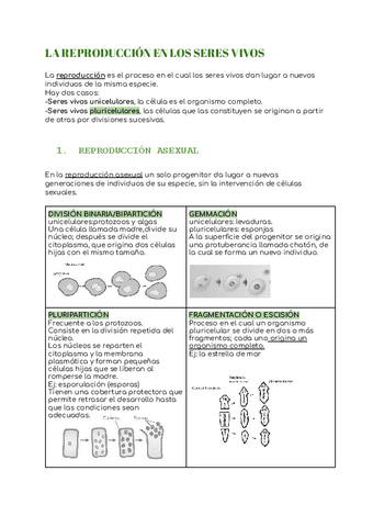 LA-REPRODUCCION-EN-LOS-SERES-VIVOS.pdf