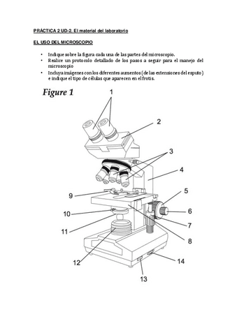 TGLPRACTICA-2-UD-2-Uso-del-microscopio.pdf