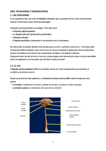 UD9-GESTION-DE-MUESTRAS-BIOLOGICAS.pdf