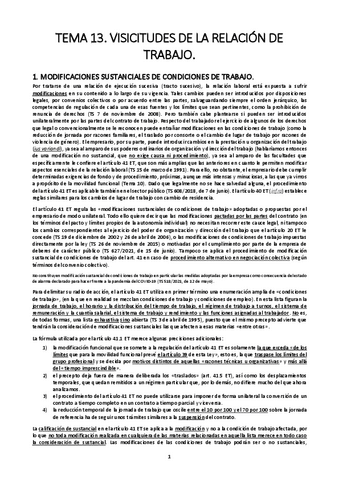 TEMA-13.-VISICITUDES-DE-LA-RELACION-DE-TRABAJO.pdf