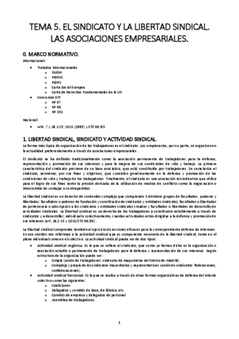 TEMA-5.-EL-SINDICATO-Y-LA-LIBERTAD-SINDICAL.pdf