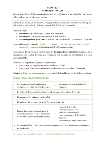EL-SECTOR-TERCIARI.pdf