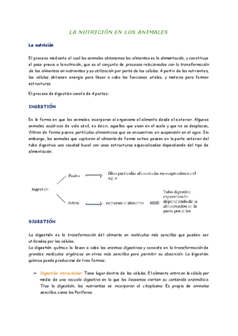 Tema-11-La-nutricion-en-los-animales-1.pdf