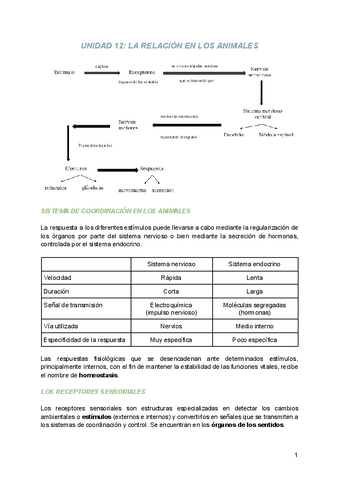 UNIDAD-12-LA-RELACION-EN-LOS-ANIMALES.pdf