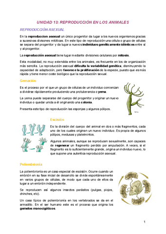 UNIDAD-13-REPRODUCCION-EN-LOS-ANIMALES.pdf