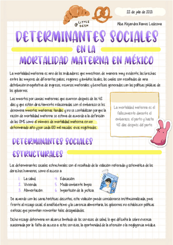 Determinantes-de-la-mortalidad-materna.pdf