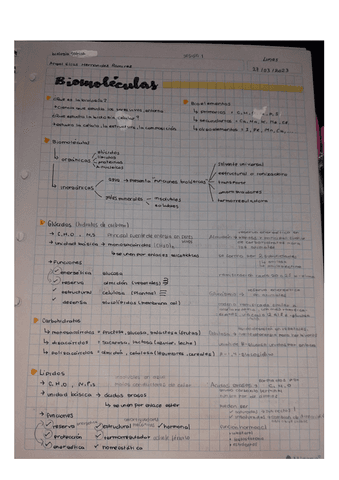 Biomoleculas-BIO-TEO-Semana-1.pdf