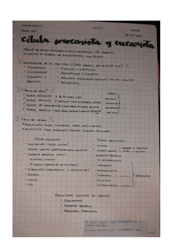 Celula-Procariota-y-Eucariota-BIO-PRAC-Semana-1.pdf