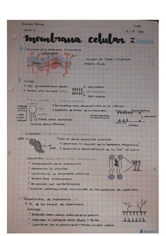 Membrana-Celular-I-BIO-TEO-Semana-2.pdf