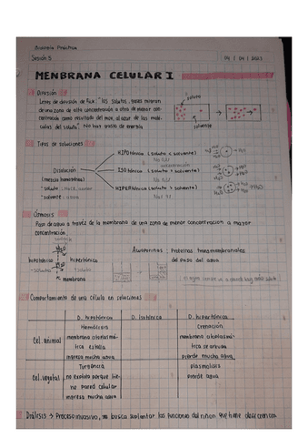 Membrana-Celilar-I.2-BIO-PRAC-Semana-2.pdf