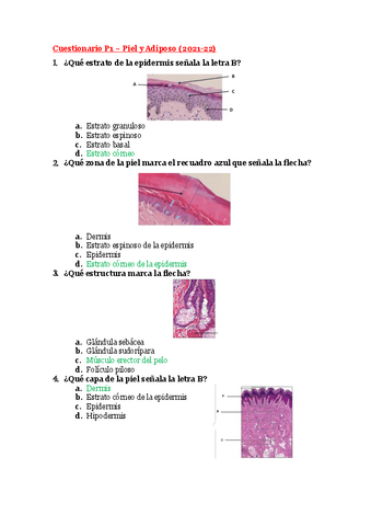 Test P.1 - Piel y Adiposo.pdf