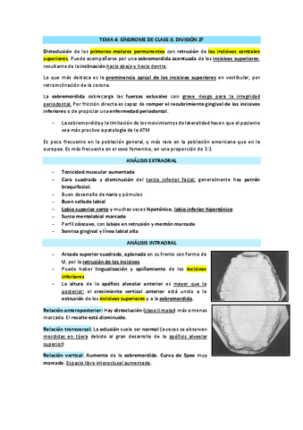 TEMA-4-CLASE-2-division-2o.pdf