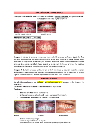 ORTO-2-Temario-completo.pdf