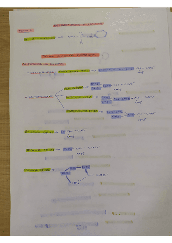 Estructurasformulacion-Bioquimica-estructural.pdf