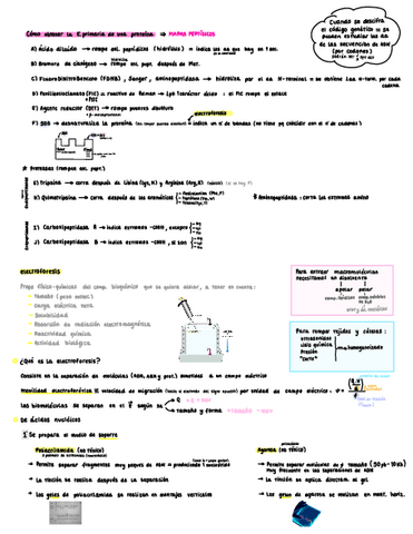 tecnicas-i-examen-practicas.pdf