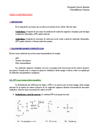 Apuntes-Metabolismo.pdf