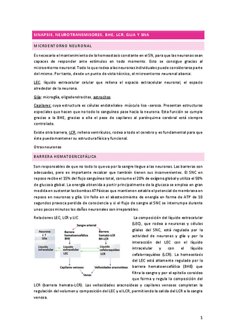 apuntesfisio1senarisarce.pdf