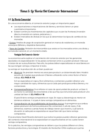 TEMA-5-Economia.pdf