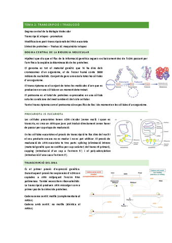 Bioquimica-Tema-2.pdf