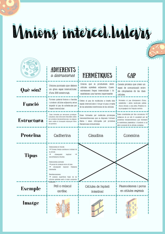 UNIONS-INTERCELLULARS.pdf