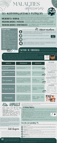 MALALTIES-INFECCIOSES-I-VIRUS-INFOGRAFIA.pdf