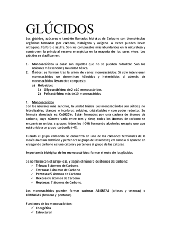 TEMA-3-GlUCIDOS.pdf