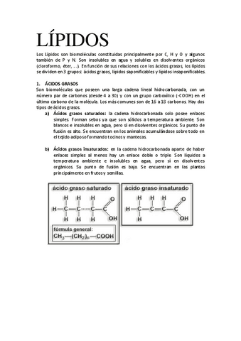TEMA-4-LIPIDOS.pdf