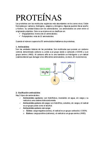 TEMA-5-PROTEINAS.pdf