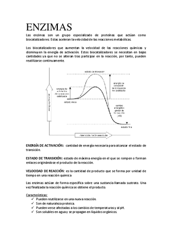 TEMA-6-ENZIMAS.pdf