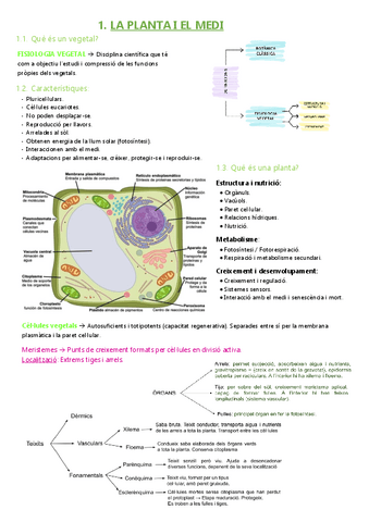 FISIOLOGIA-VEGETALRESUM.pdf