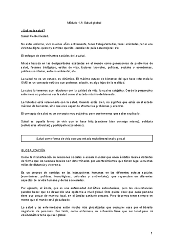 Modulo-1.1-Primaria.pdf